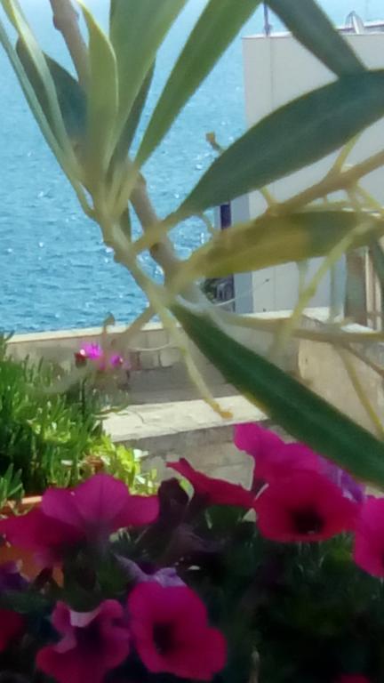 Tra le Mura Polignano a Mare Extérieur photo